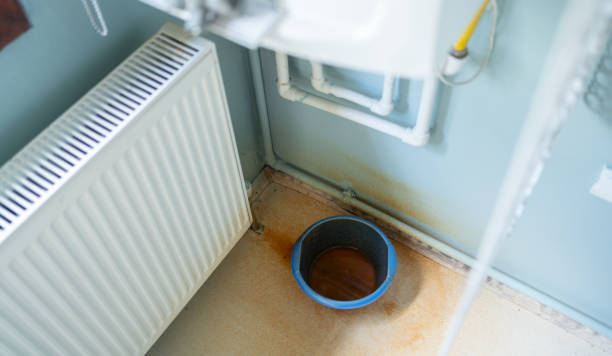 Best Mold removal after water damage  in Kotlik, AK